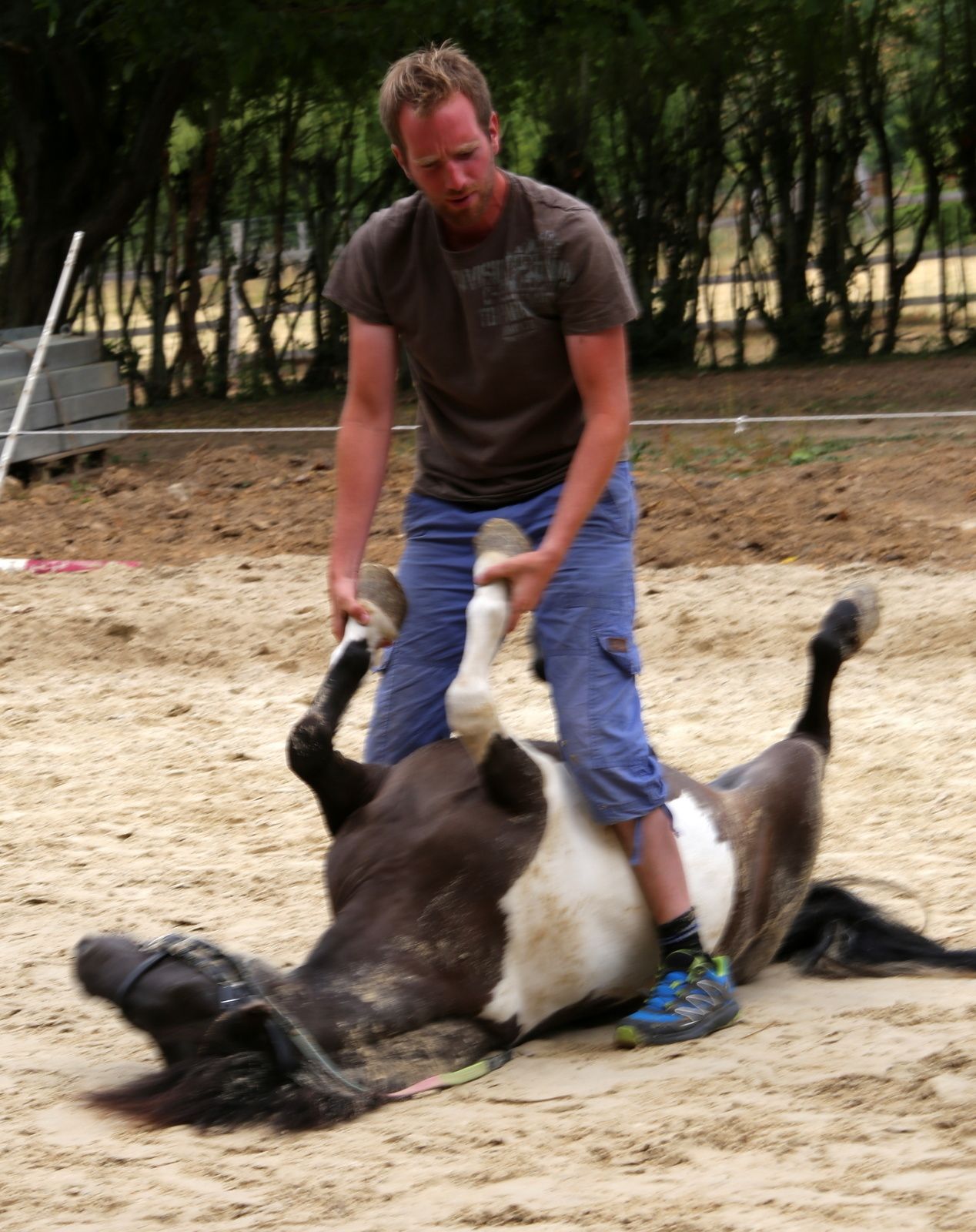 ce blog fête ses neuf ans !