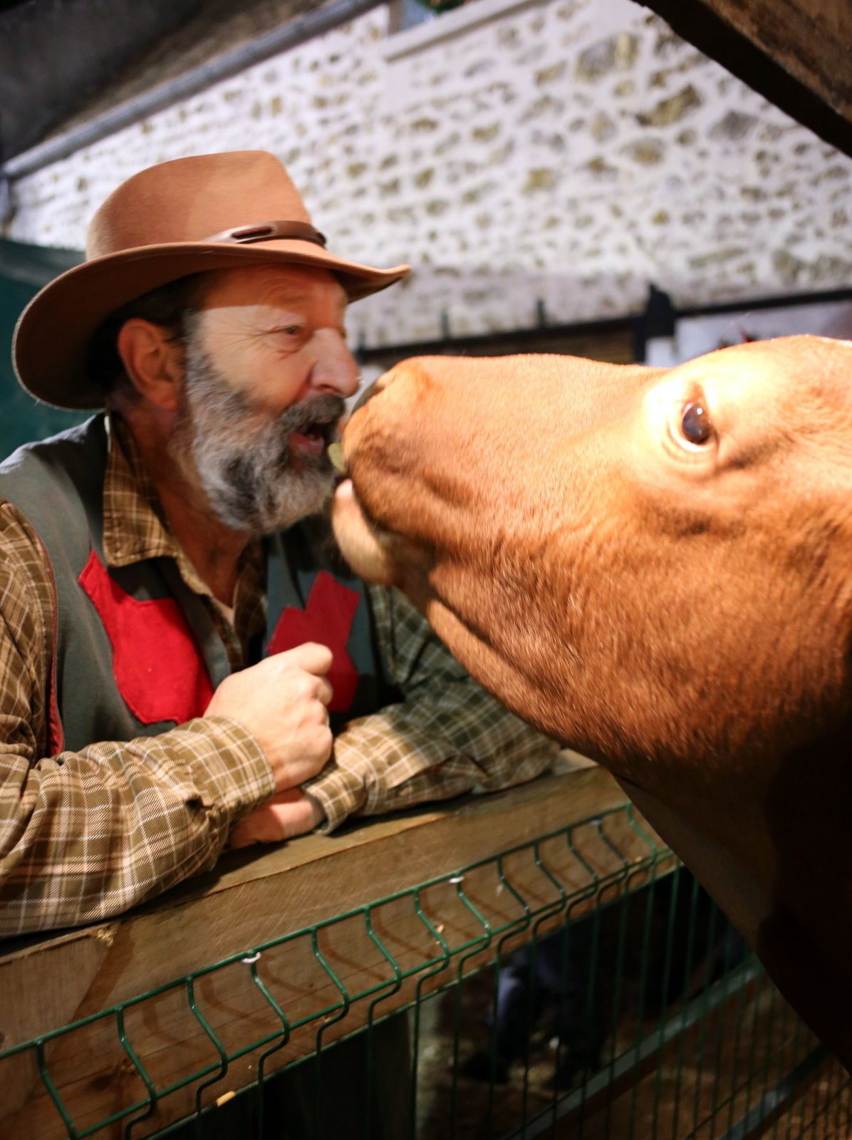 ce blog fête ses neuf ans !