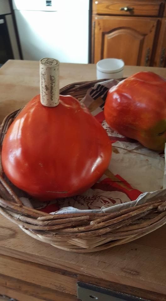 ce blog fête ses neuf ans !