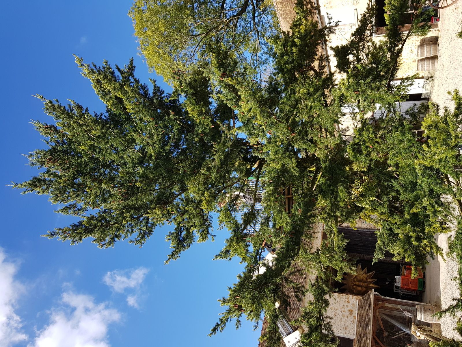 la traversée de janvry