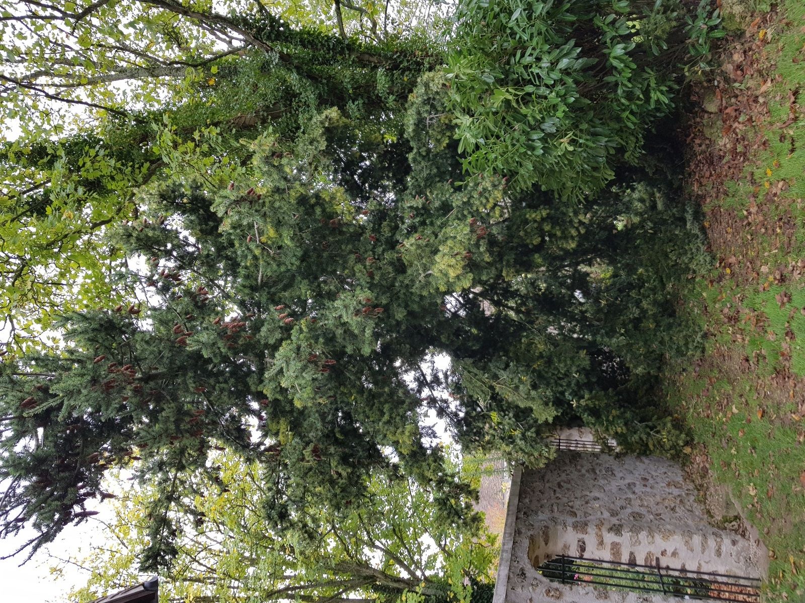 la traversée de janvry