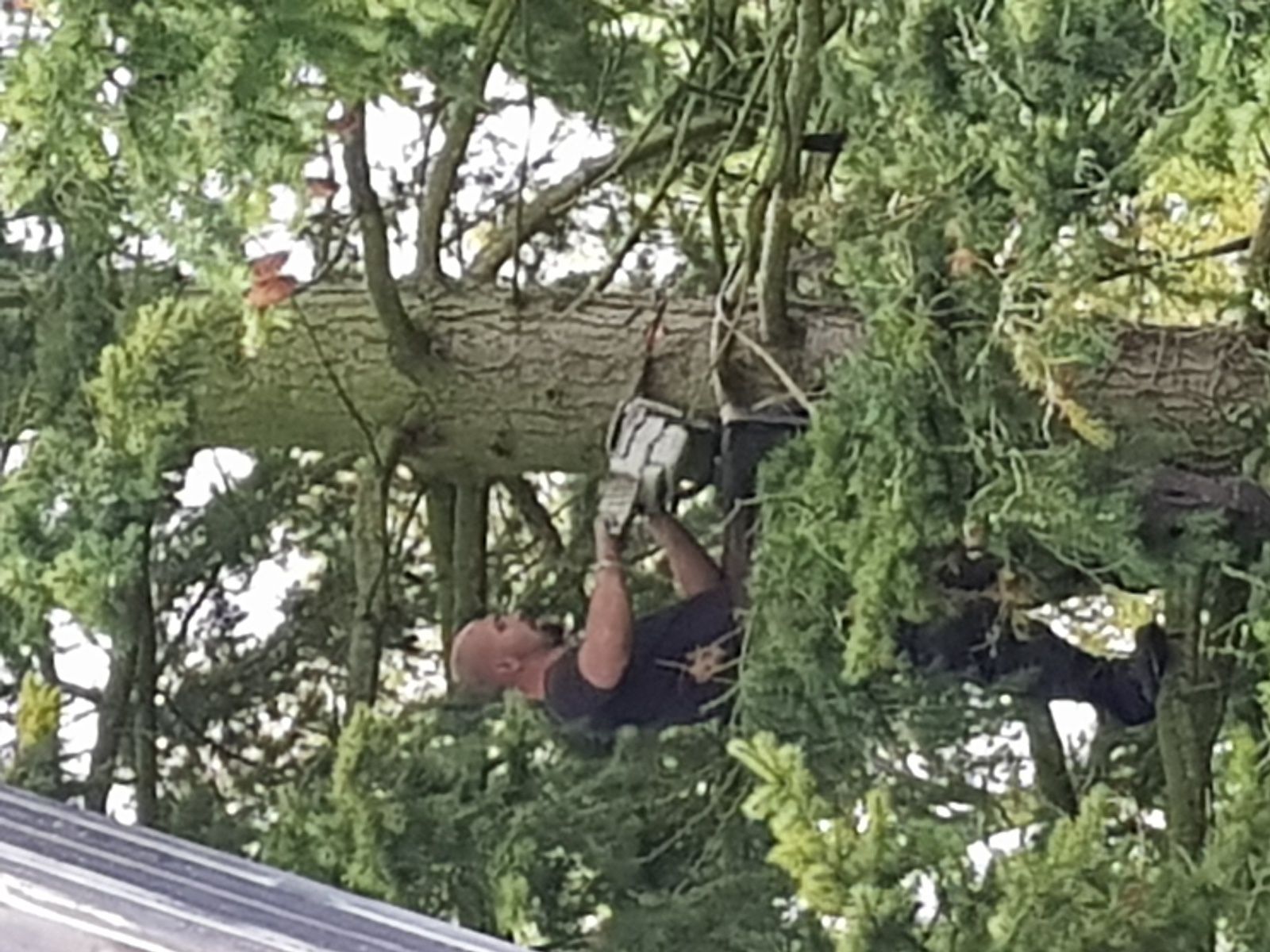 la traversée de janvry