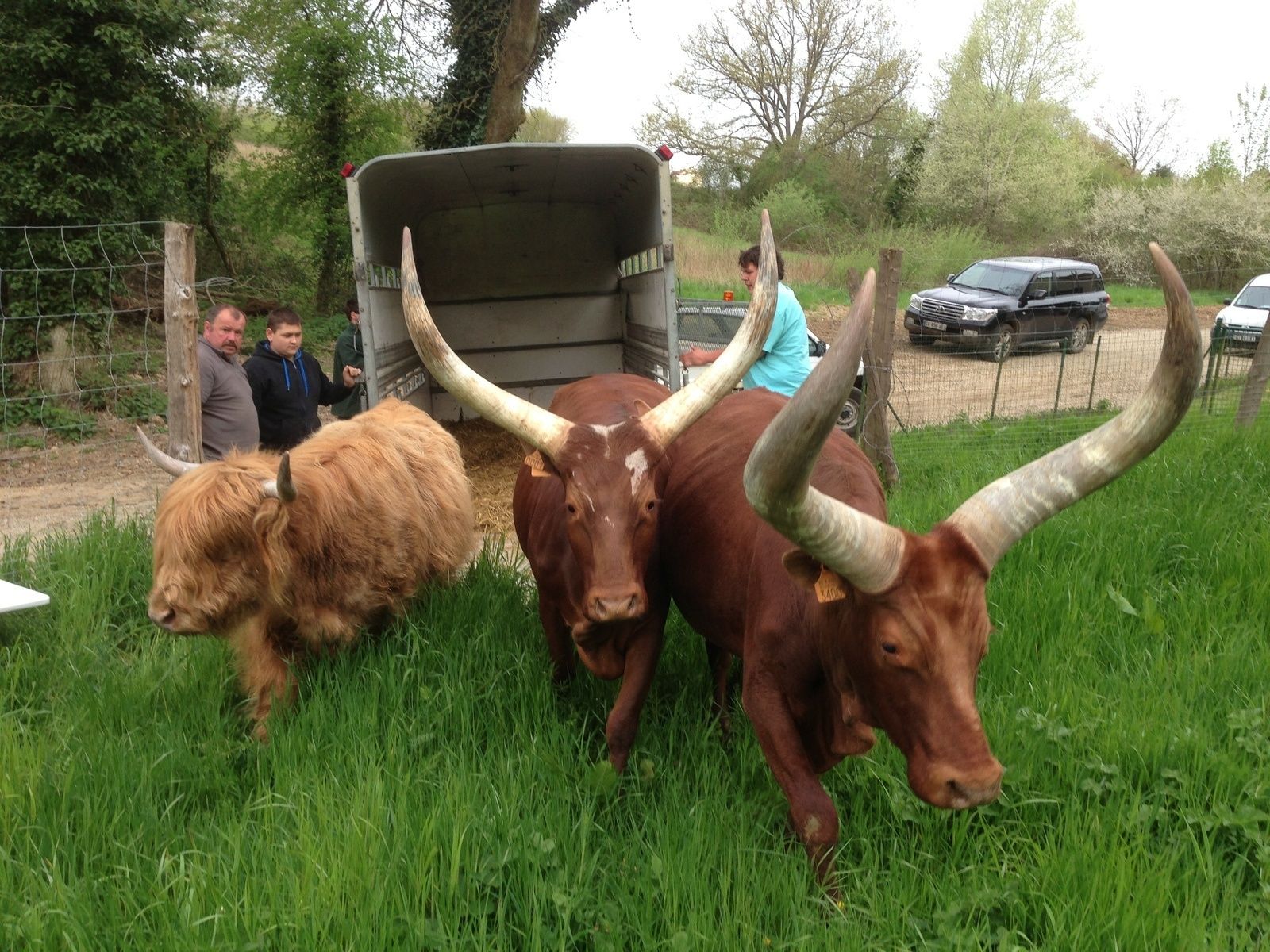 janvry village préféré des francais ,les chinois arrivent ! et les créatifs se déchainent