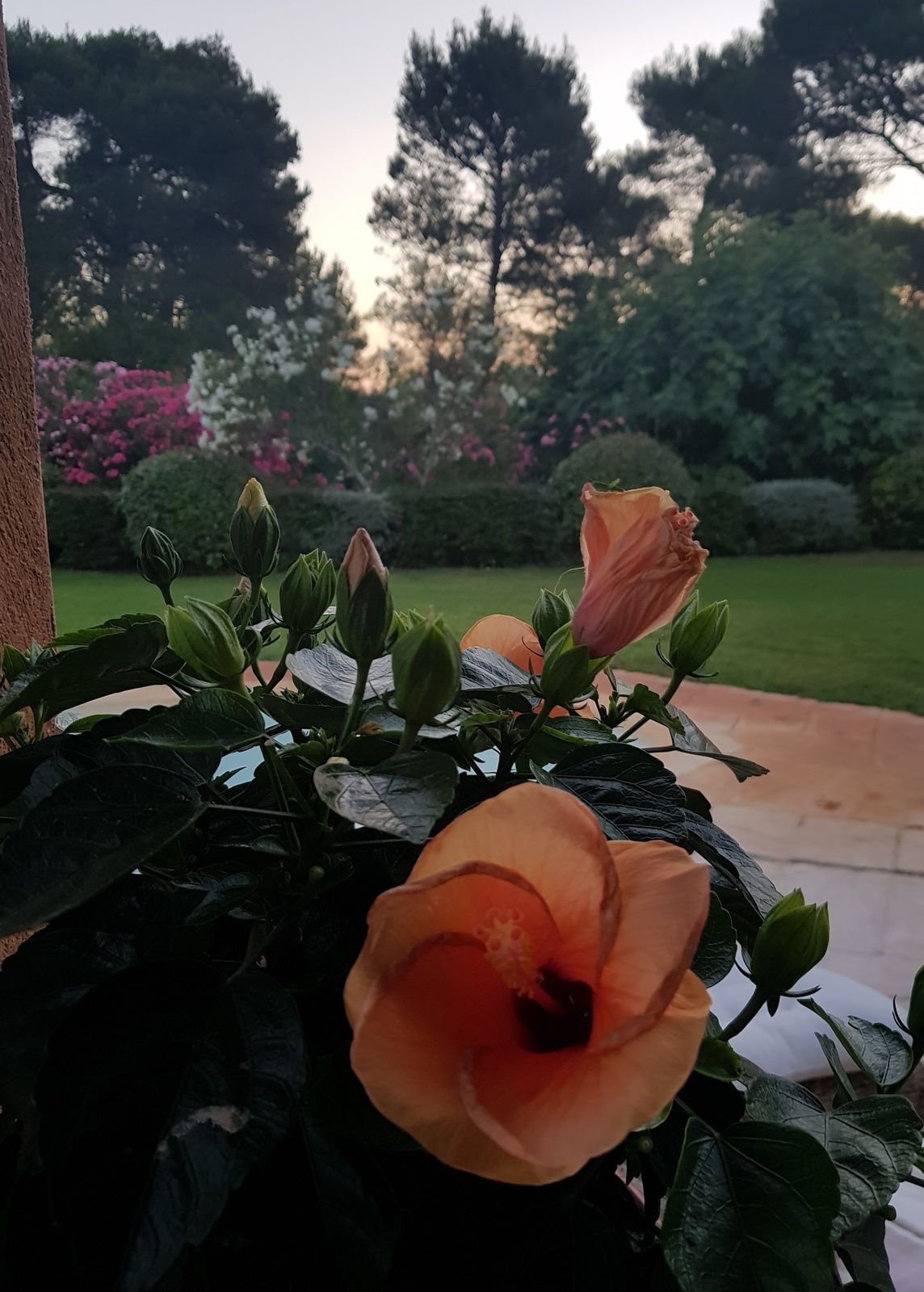 la tablette de l'autre coté du miroir exactement