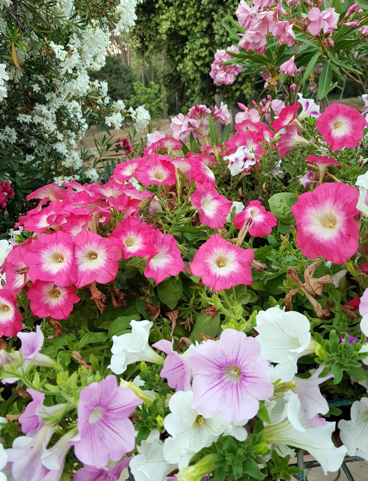 la tablette de l'autre coté du miroir exactement