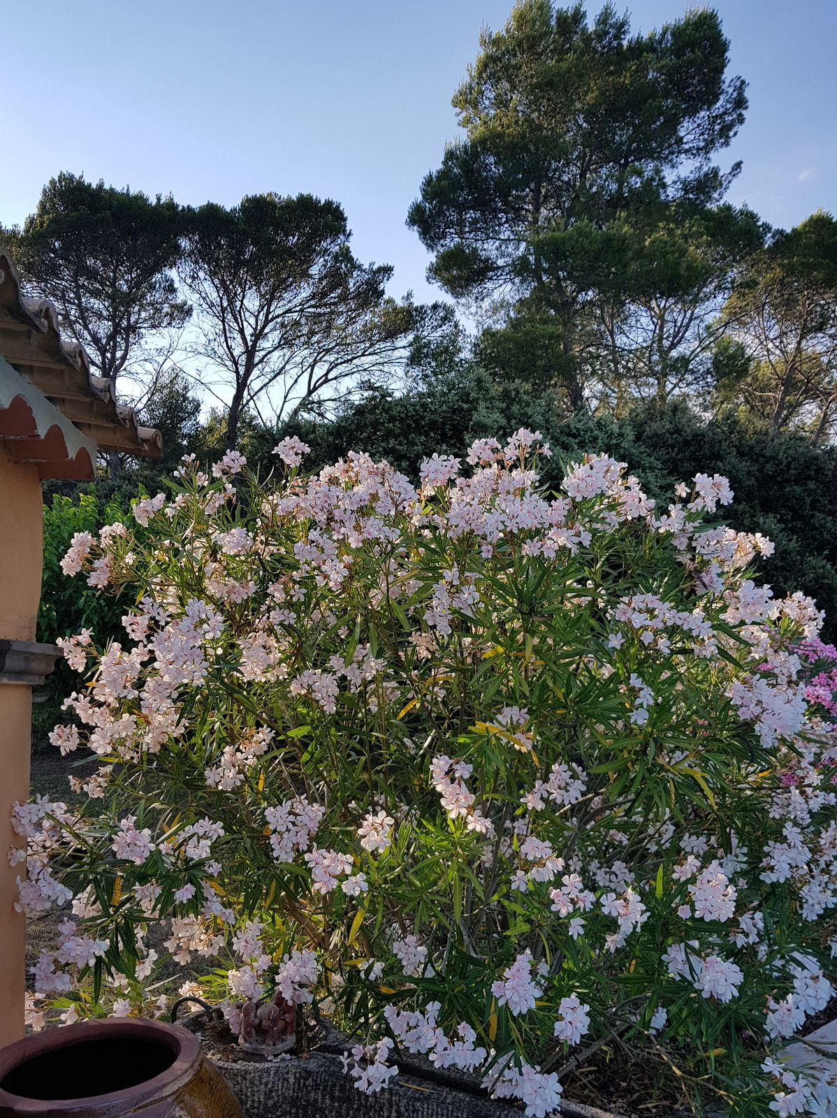 la tablette de l'autre coté du miroir exactement