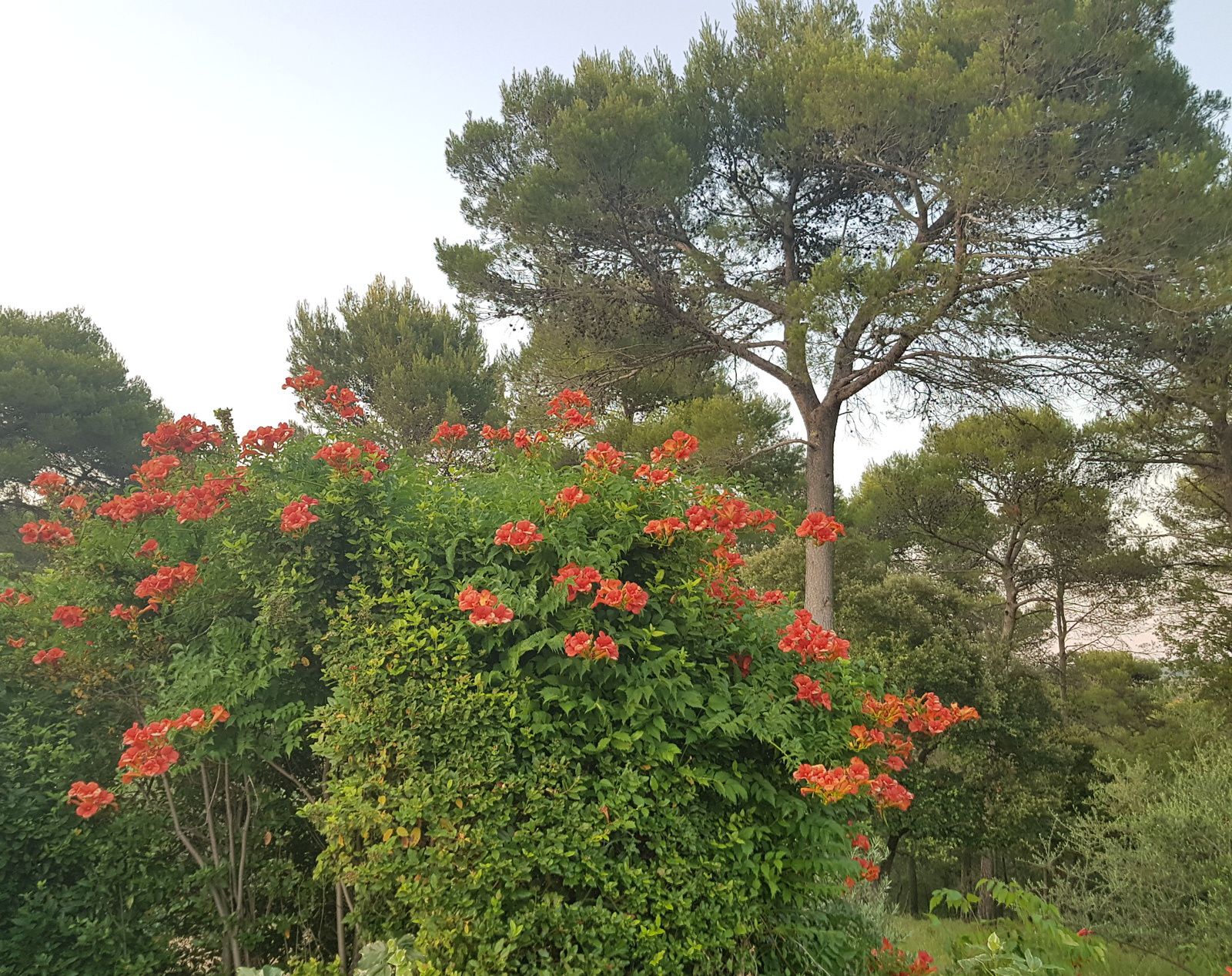 la tablette de l'autre coté du miroir exactement