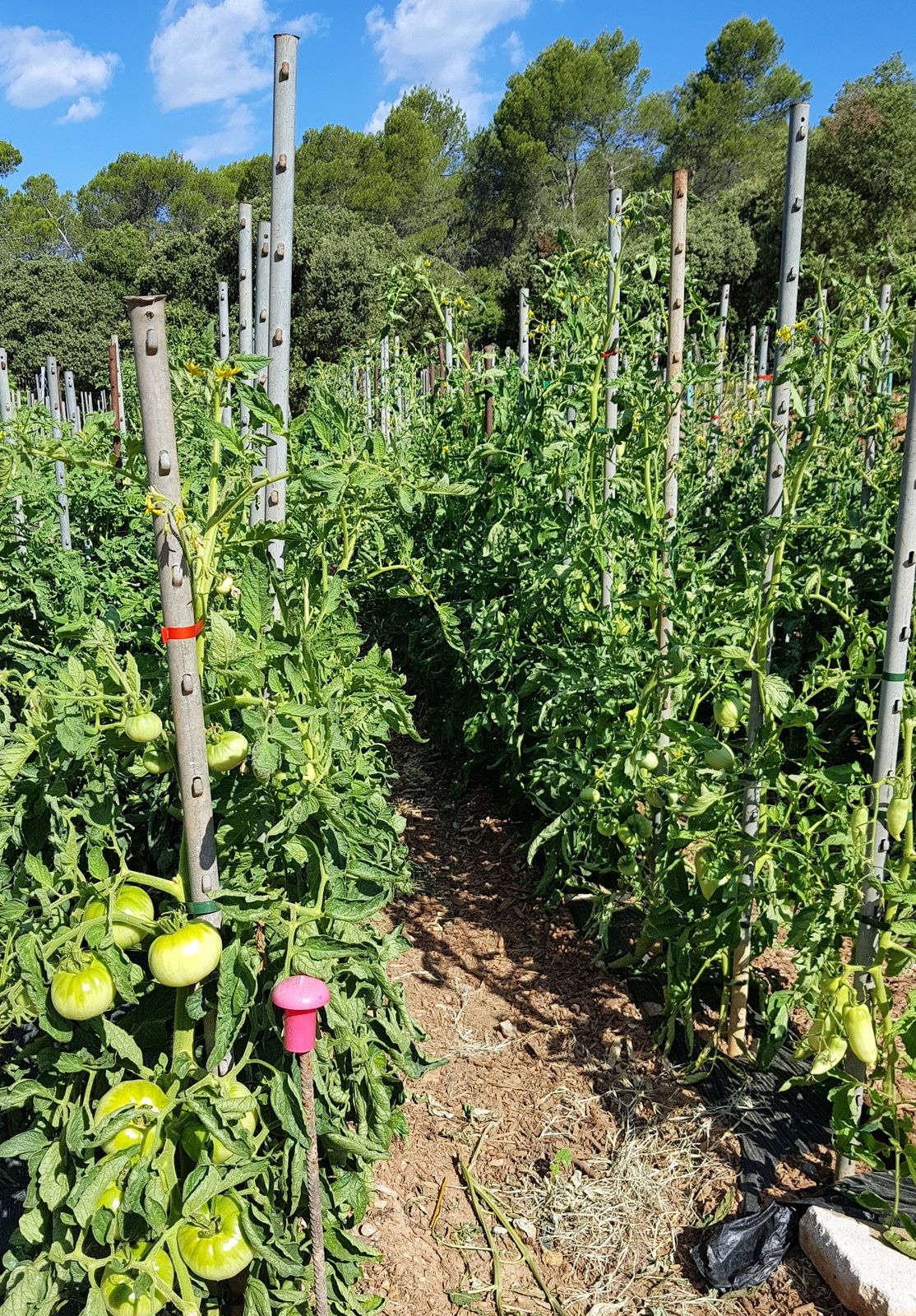 la tablette de l'autre coté du miroir exactement