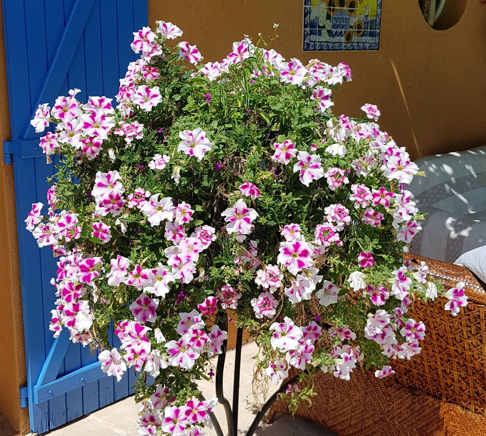 la tablette de l'autre coté du miroir exactement