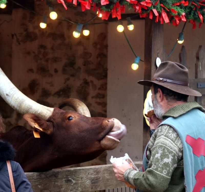 On a gagné ! le merveilleux village de noel ,c'est eux ! les lutins de janvry