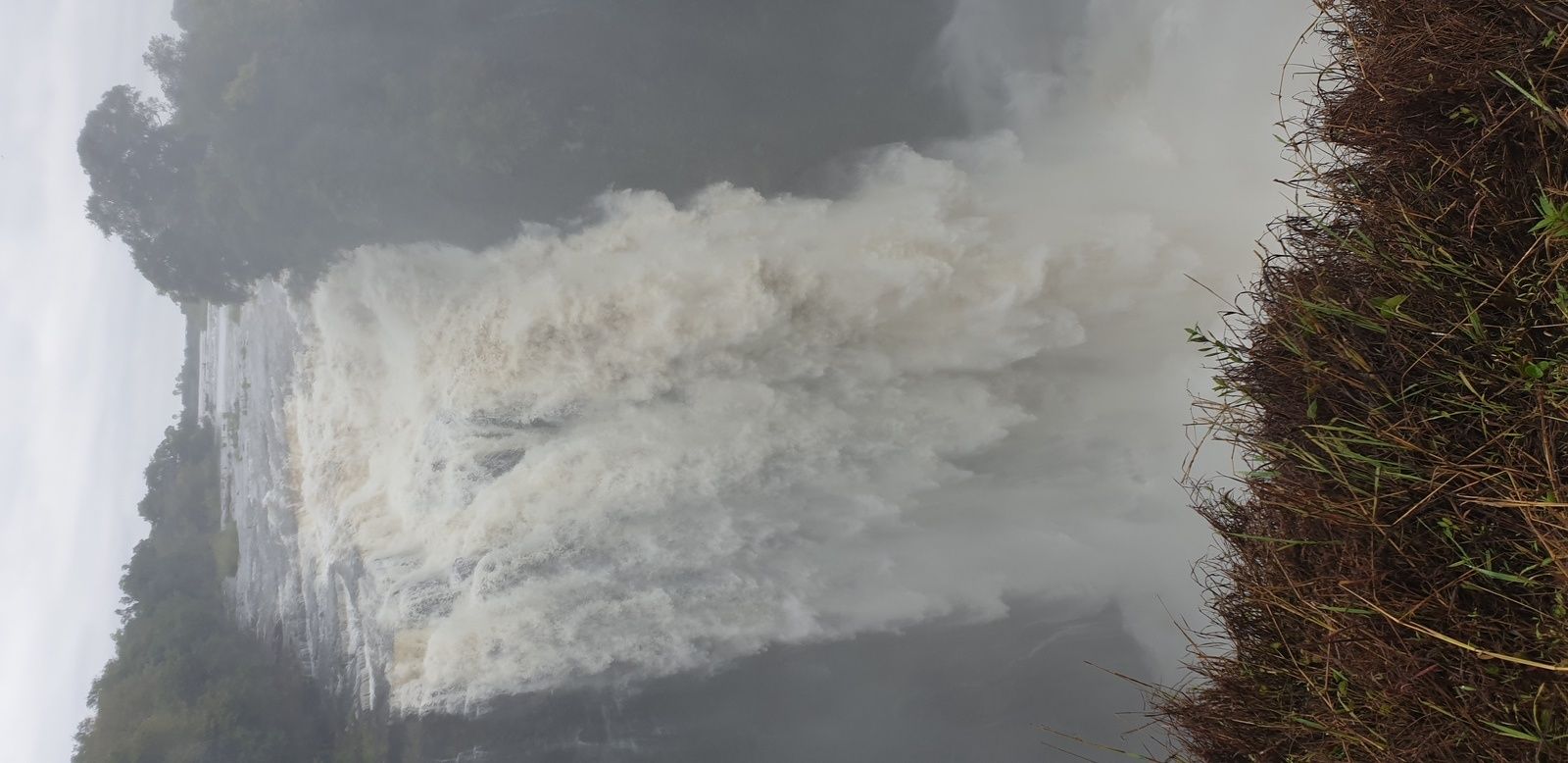 DERNIER JOUR, victoria falls et des lions