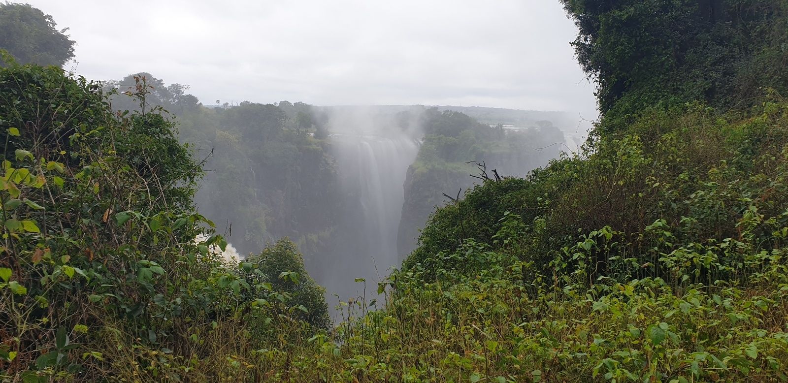 DERNIER JOUR, victoria falls et des lions