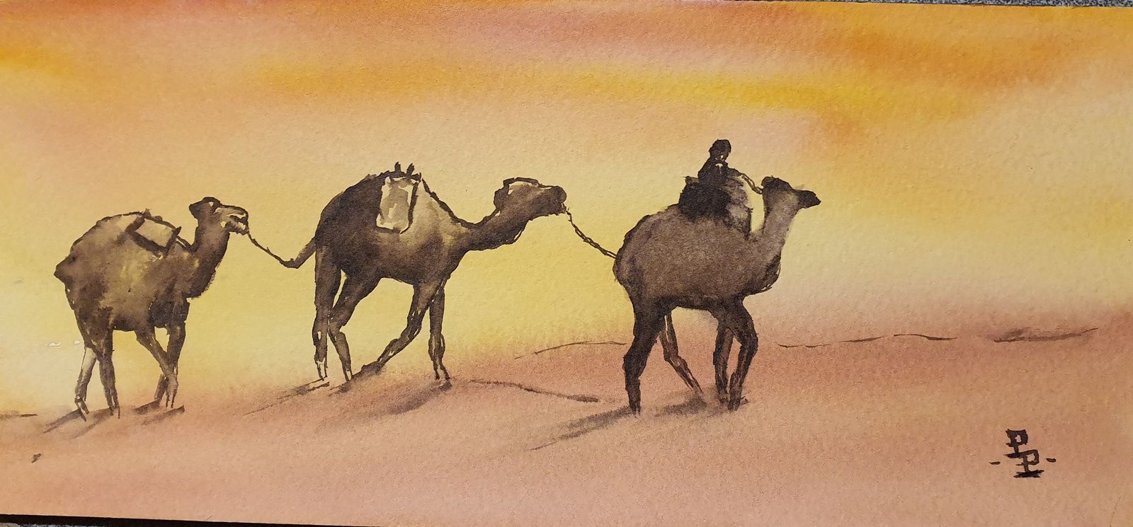 Salon des camélidés ....le retour ?