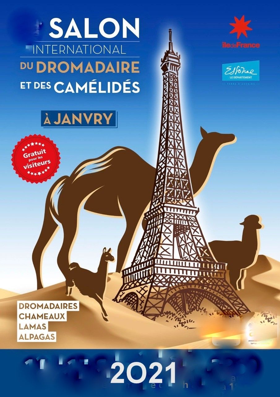 Salon des camélidés ....le retour ?