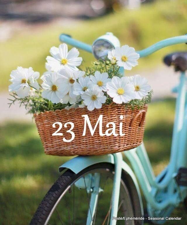 Articles populaires – Marishka-moi