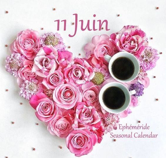 RÃ©sultat de recherche d'images pour "ephÃ©mÃ©ride seasonal 11 juin"