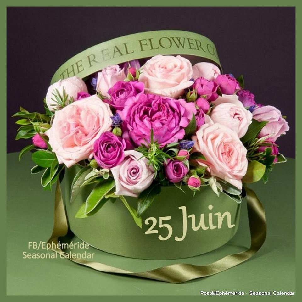 Dimanche 25 Juin 2017 - Marishka-moi