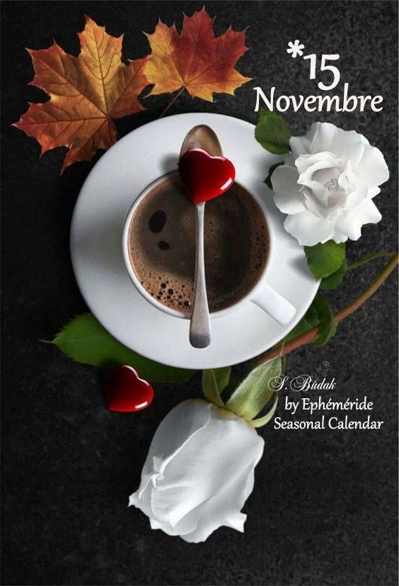 Mercredi 15 Novembre 2017 - Marishka-moi