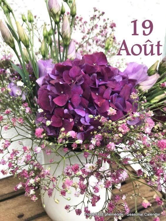 Pour qui aime Farmerama - Hit| Page 2795 | Farmerama FR