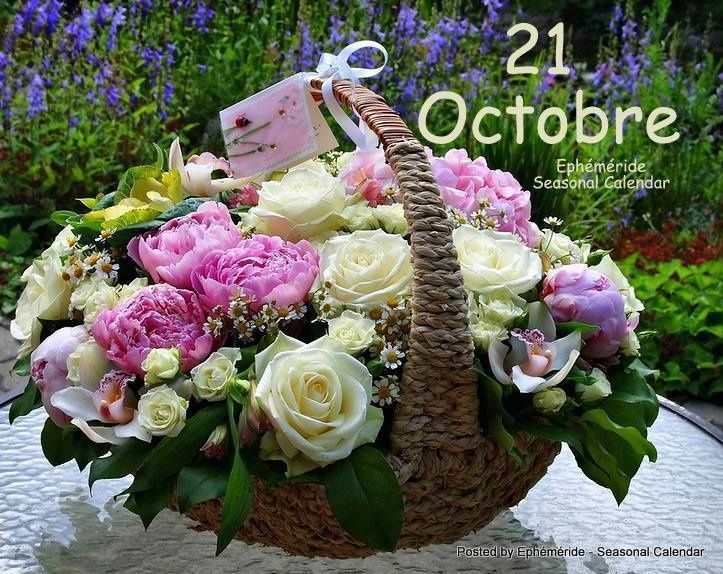 Dimanche 21 Octobre 2018 - Marishka-moi