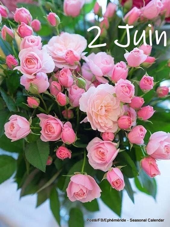 Dimanche 2 Juin 2019 - Marishka-moi