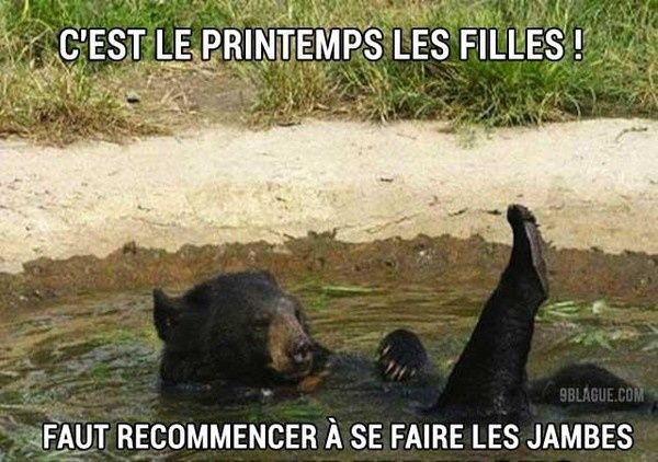 Téléchargement gratuit Images C Est Le Printemps Ma Chienne De Vie actualisé par