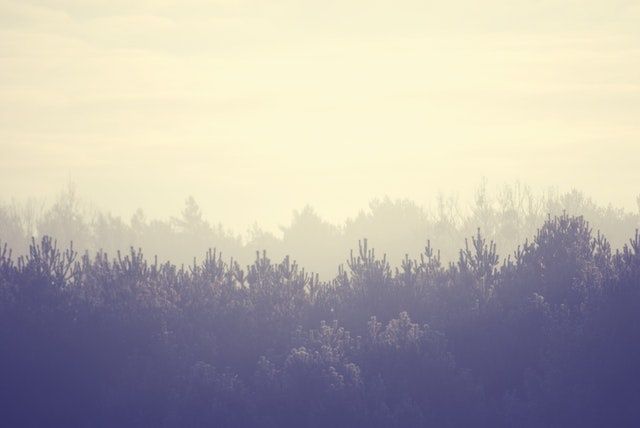 hiver, saison, thème, littérature, bonheur, alain-fournier, grand meaulnes