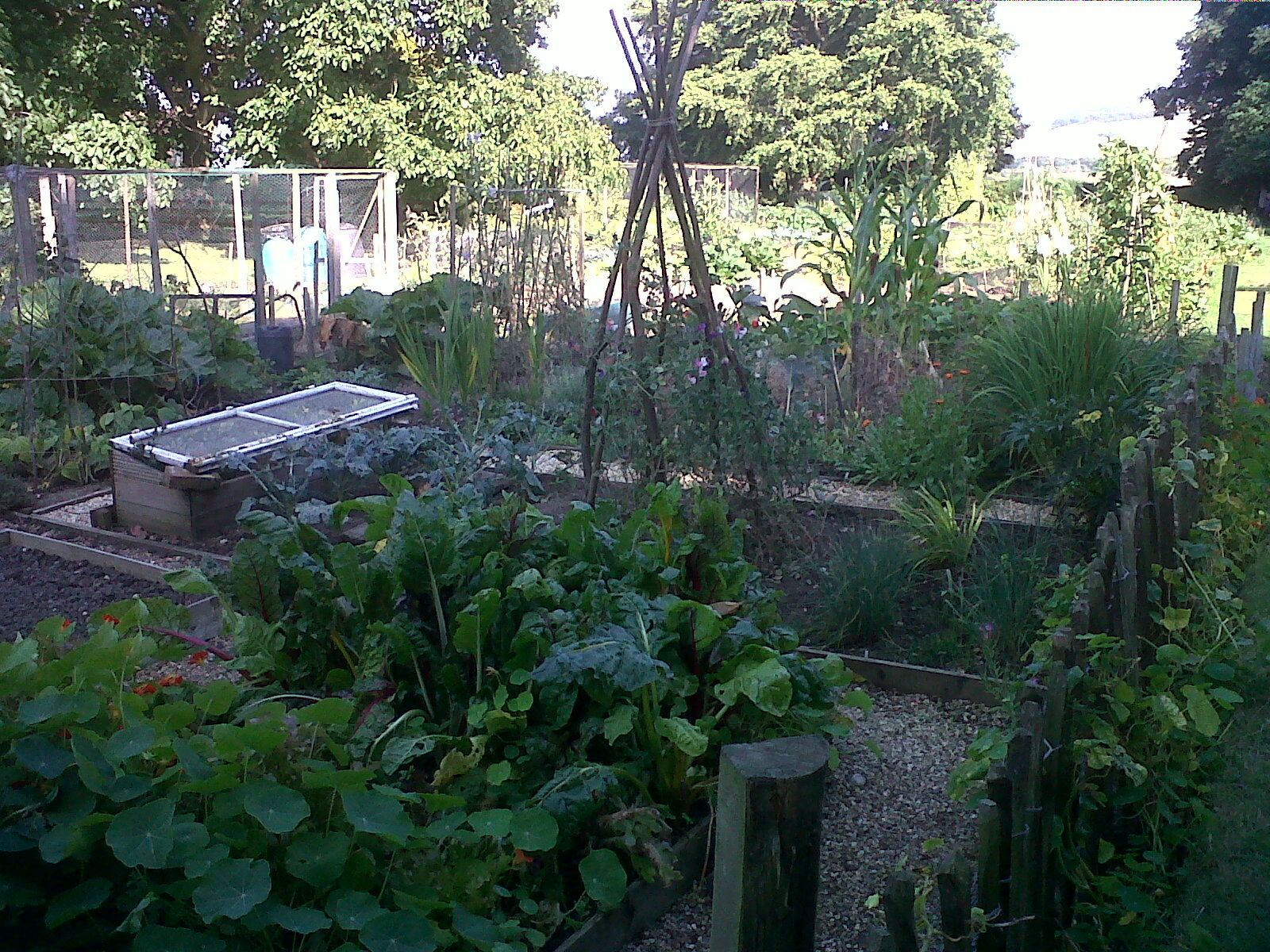 le jardin et la notion de propriété Emile Rousseau