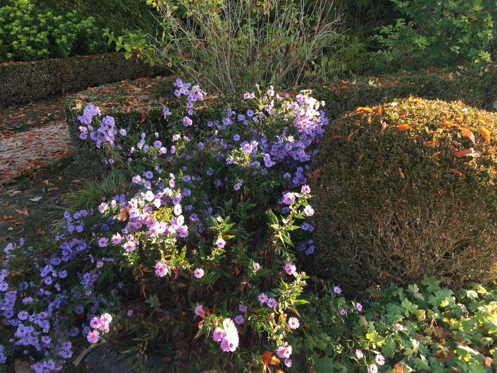 bibliographie, jardin, thème, lecture, quoi lire, romans, livres