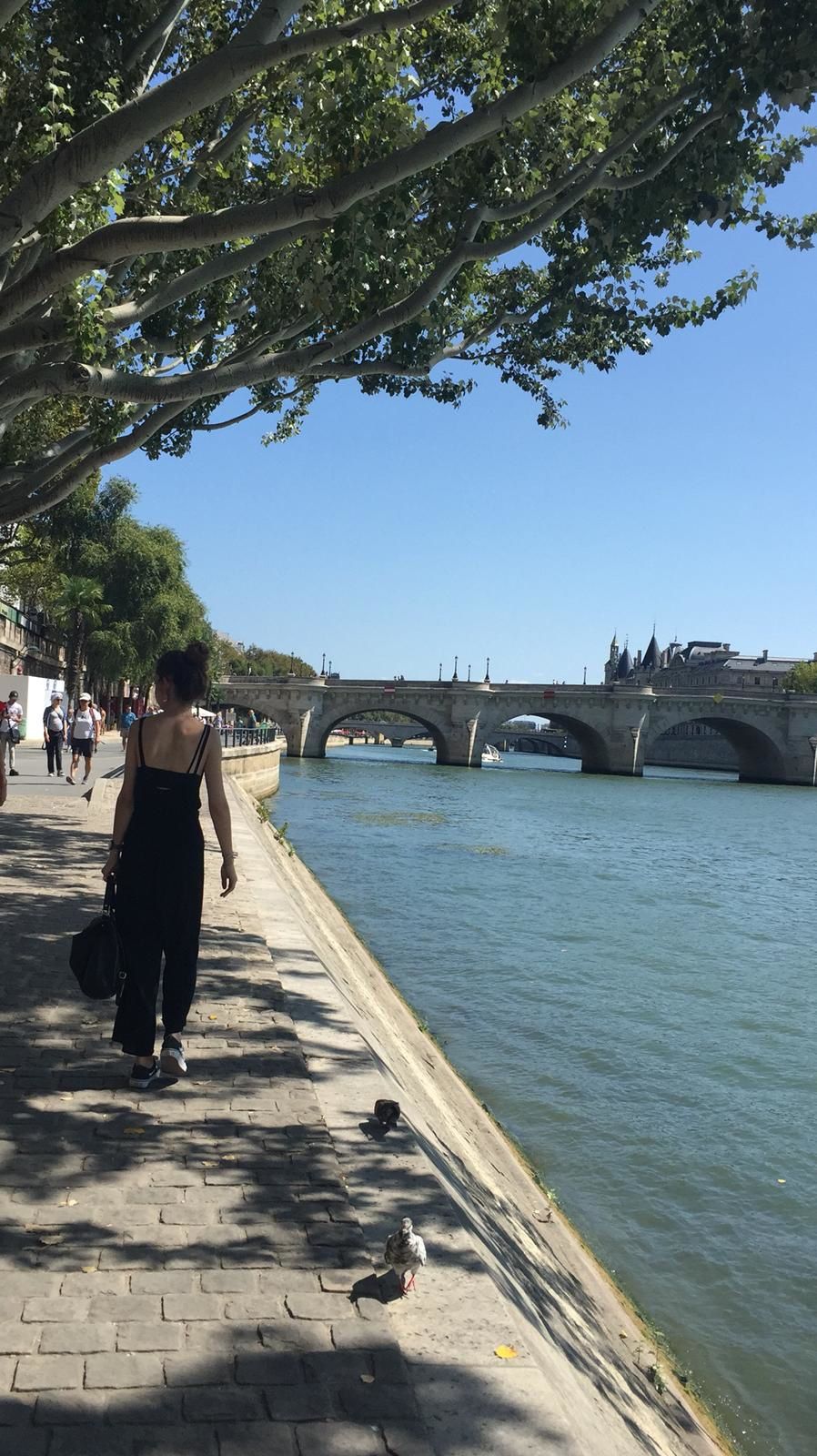 promenade, poétique, Paris, thème, livres, Nerval, Baudelaire