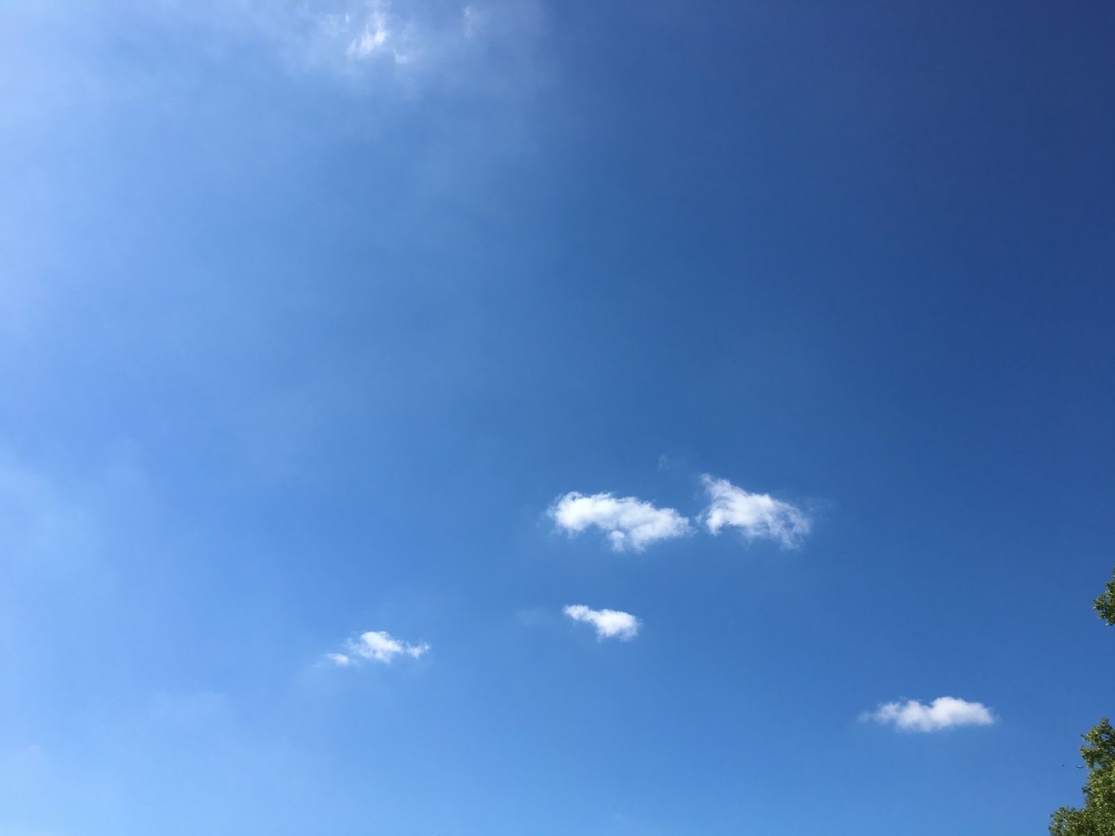 bibliographie, mouvement, thème, livres, conseils, sélection