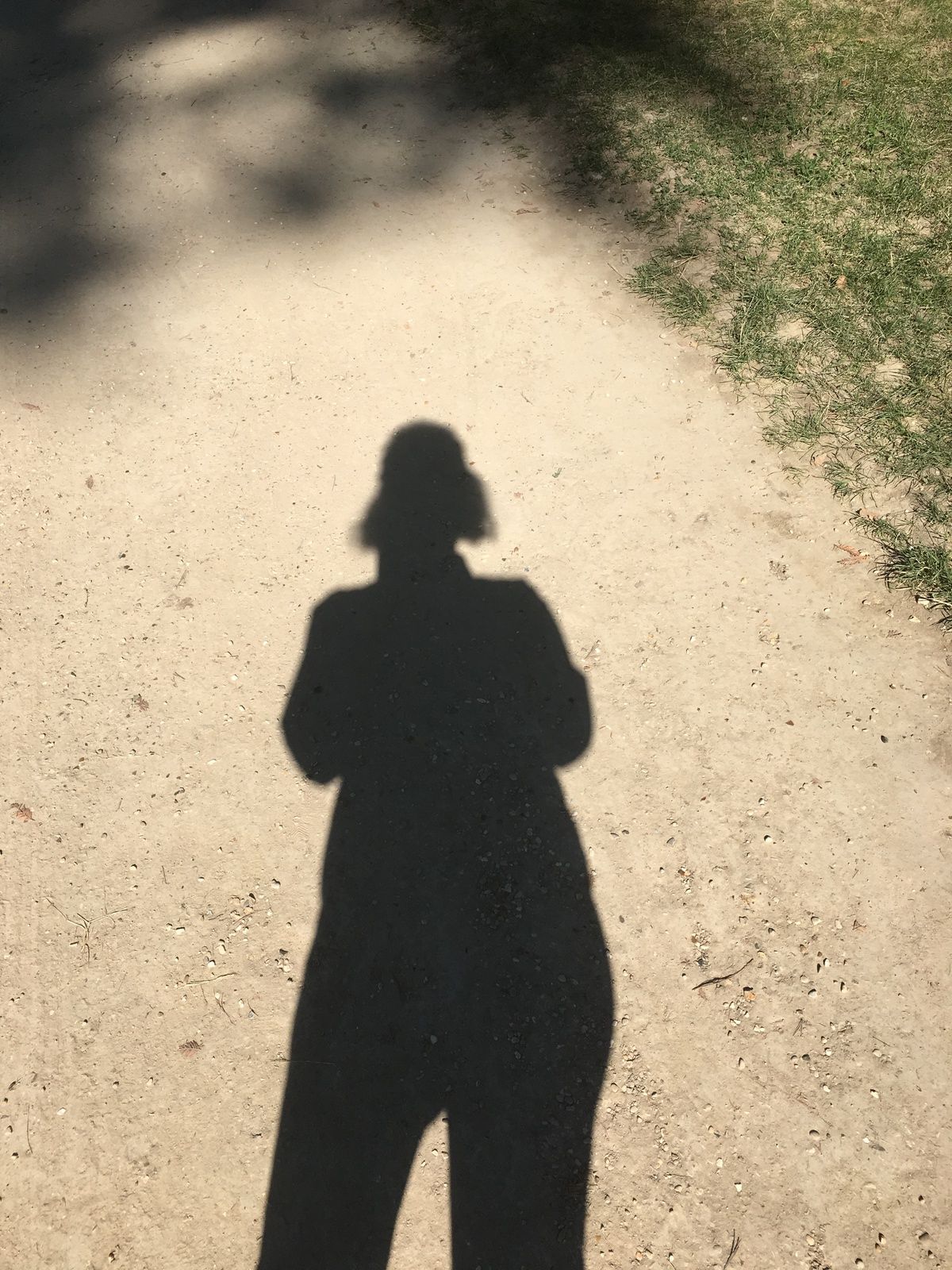 le rouge et le noir, Stendhal, points de vue, narratifs, narration, explication