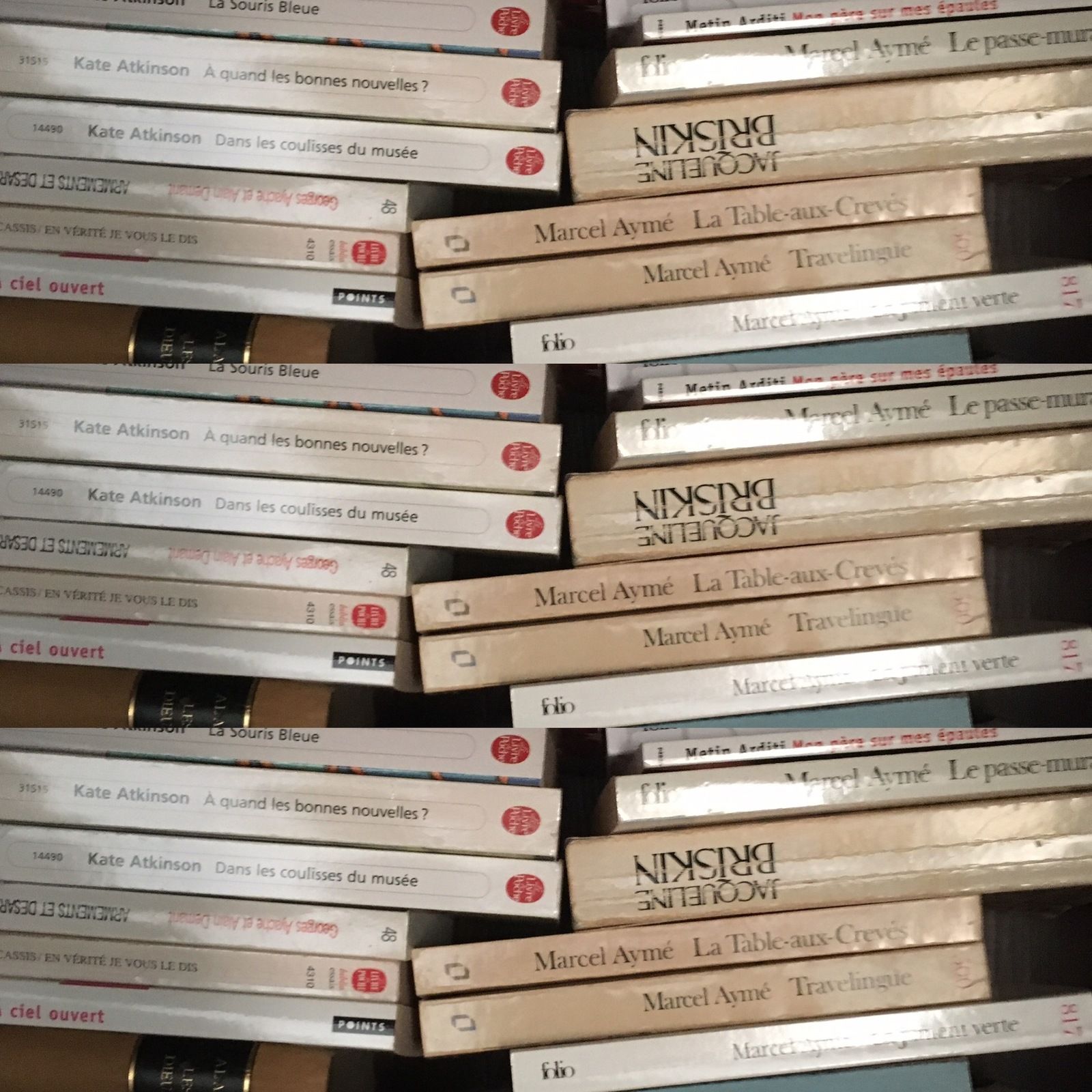bibliothèque, désordre, classement, rangement, livres, thème