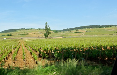 Lamartine, Bourgogne, tour de france, auteurs, écrivain