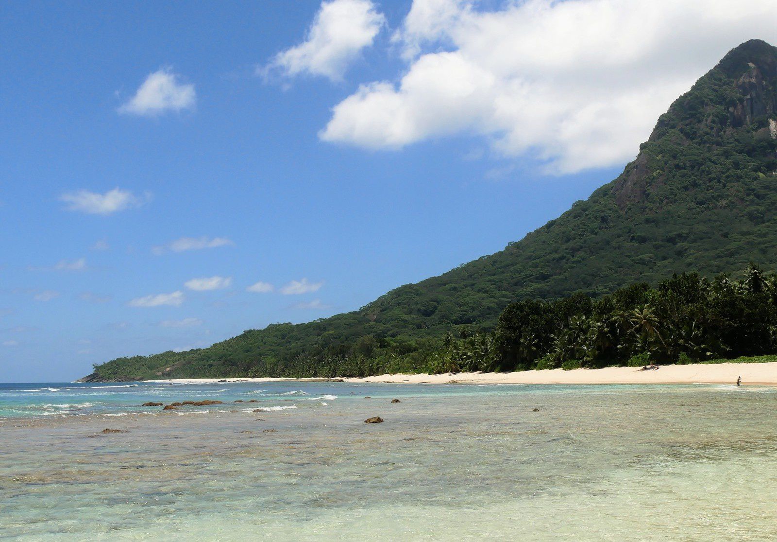 Tortues géantes des Seychelles. Île Silhouette.