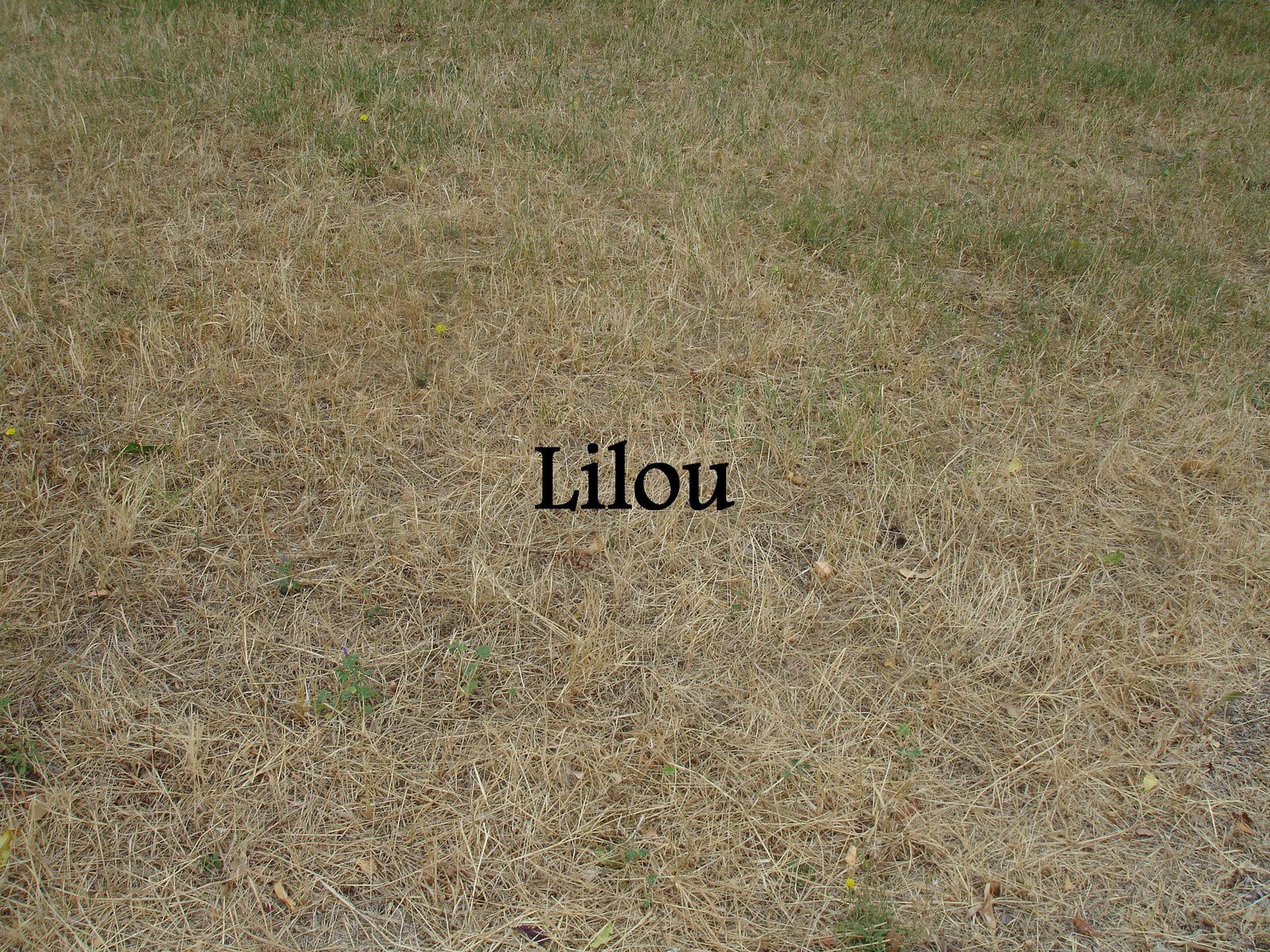 Défi photo : mort ou vif....