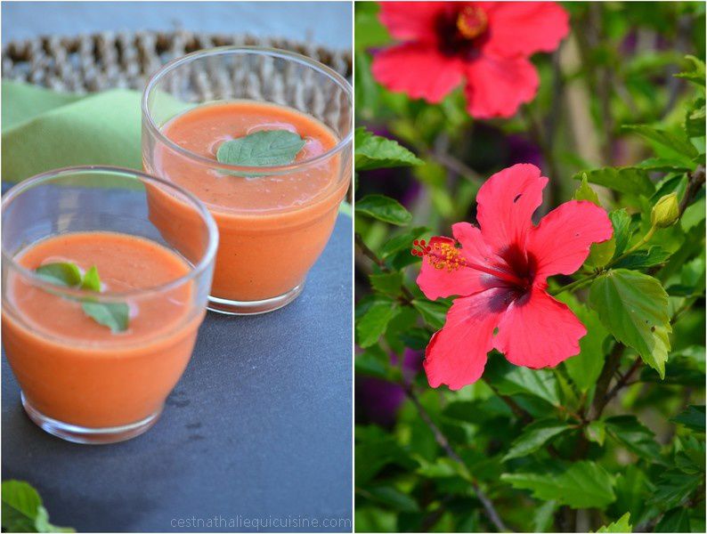Gaspacho Andalou