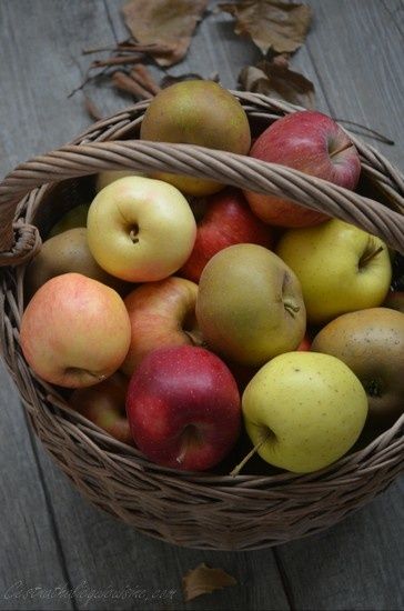 Tôt-fait aux pommes