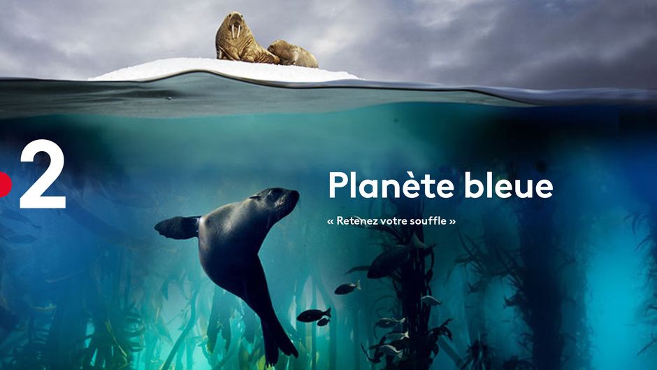 Programme Tv France 2 Ce Soir 21h Inédit : Planète bleue, un voyage au cœur des océans dès ce soir à 21h