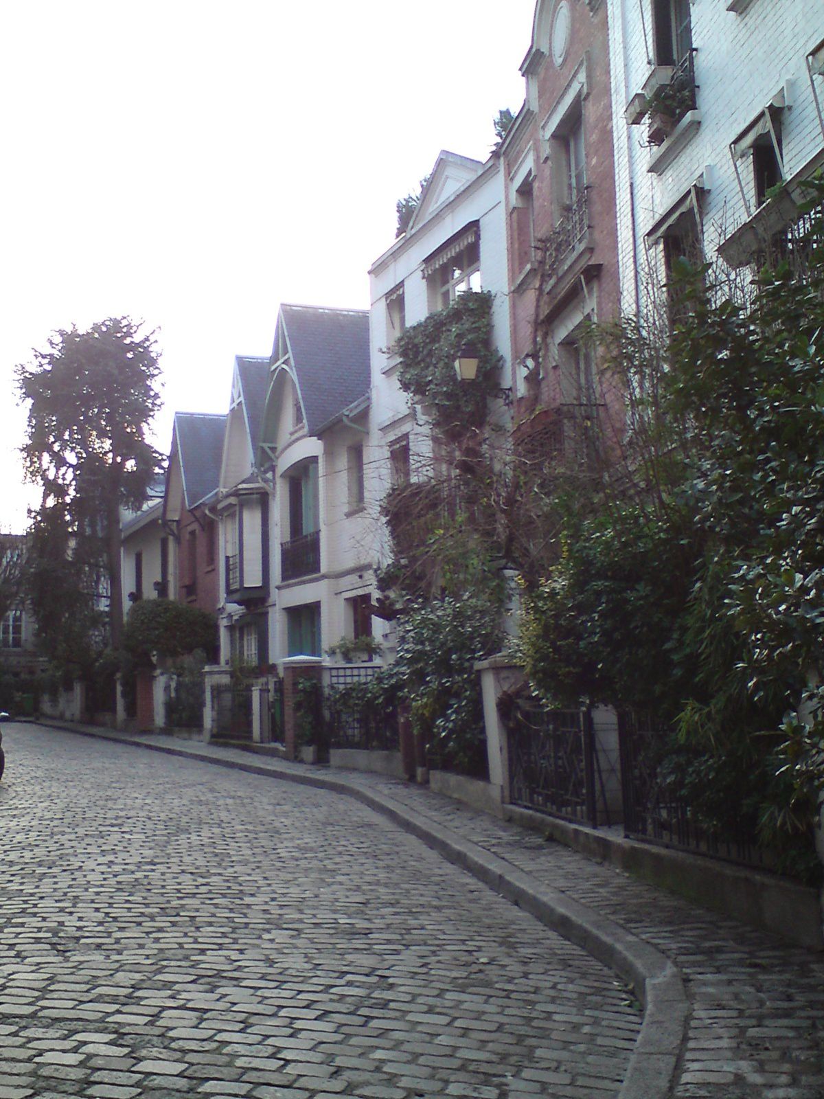 Balade fin janvier à Montmartre