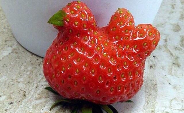Les bienfaits des fraises
