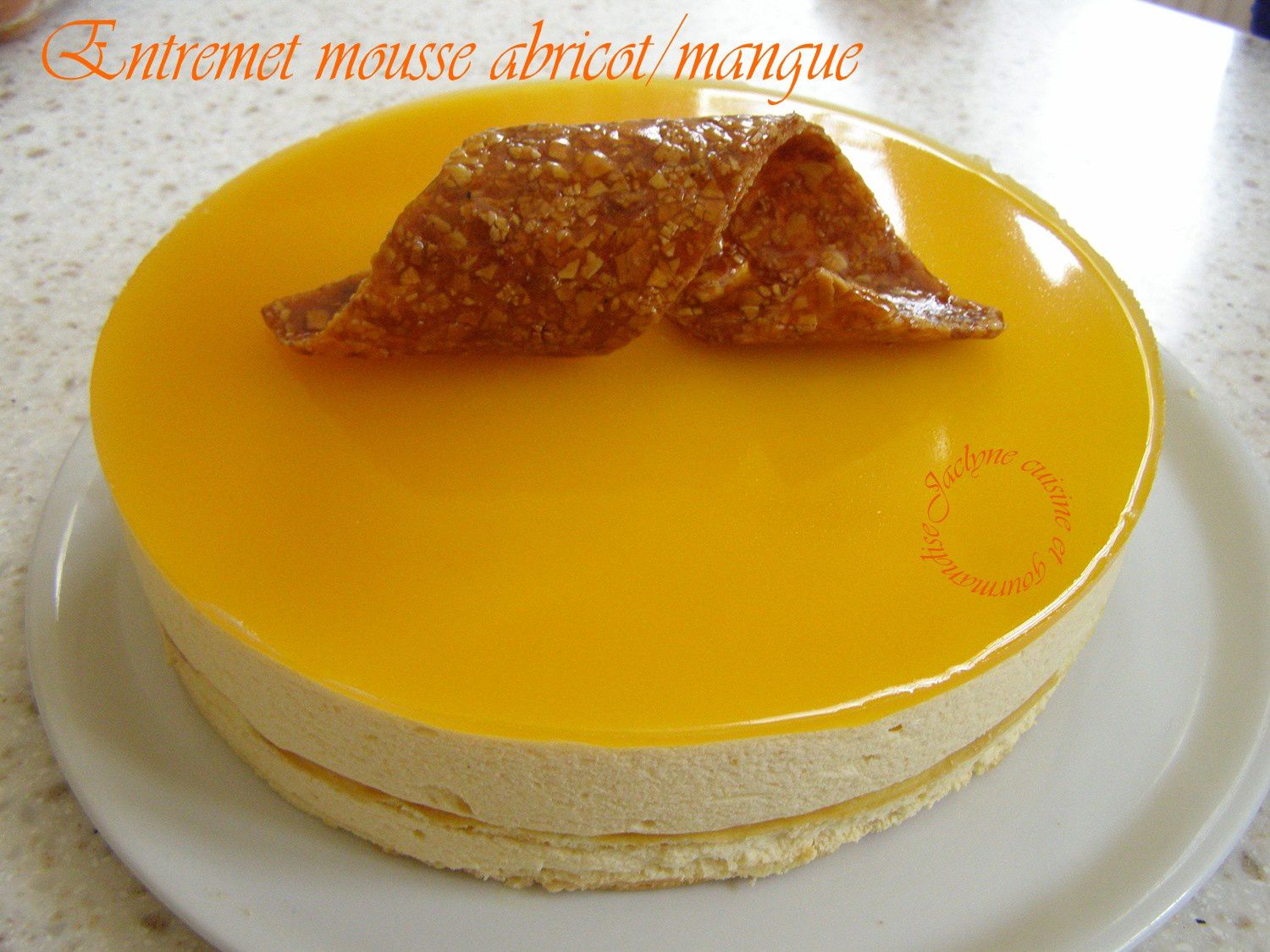 Entremet aux mousses abricot/mangue, miroir mangue - Cuisine et gourmandise  Jaclyne