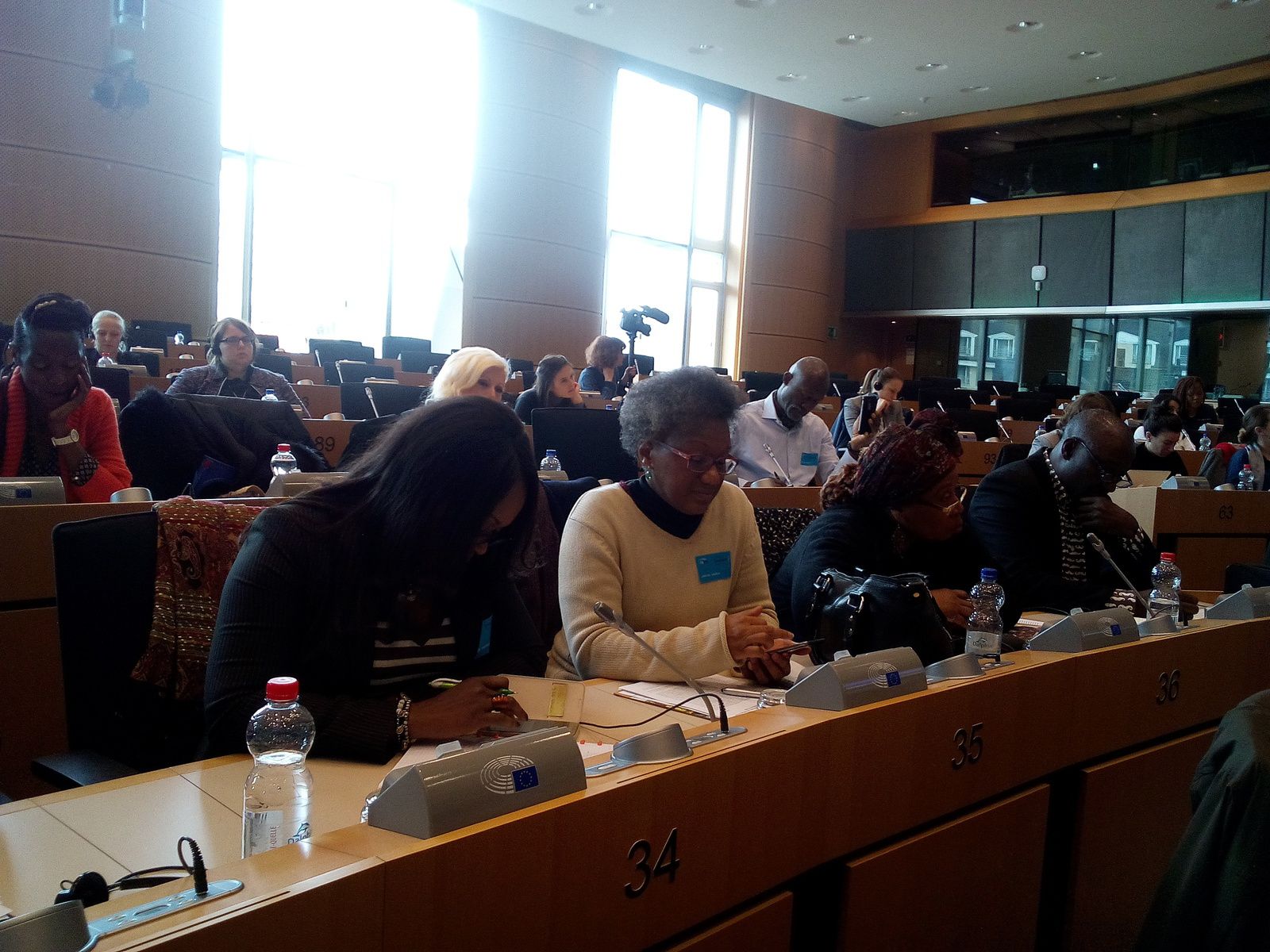 Parlement européen, conférence sur la RD Congo, Marie Arena, la LUCHA, l'AJDDH...