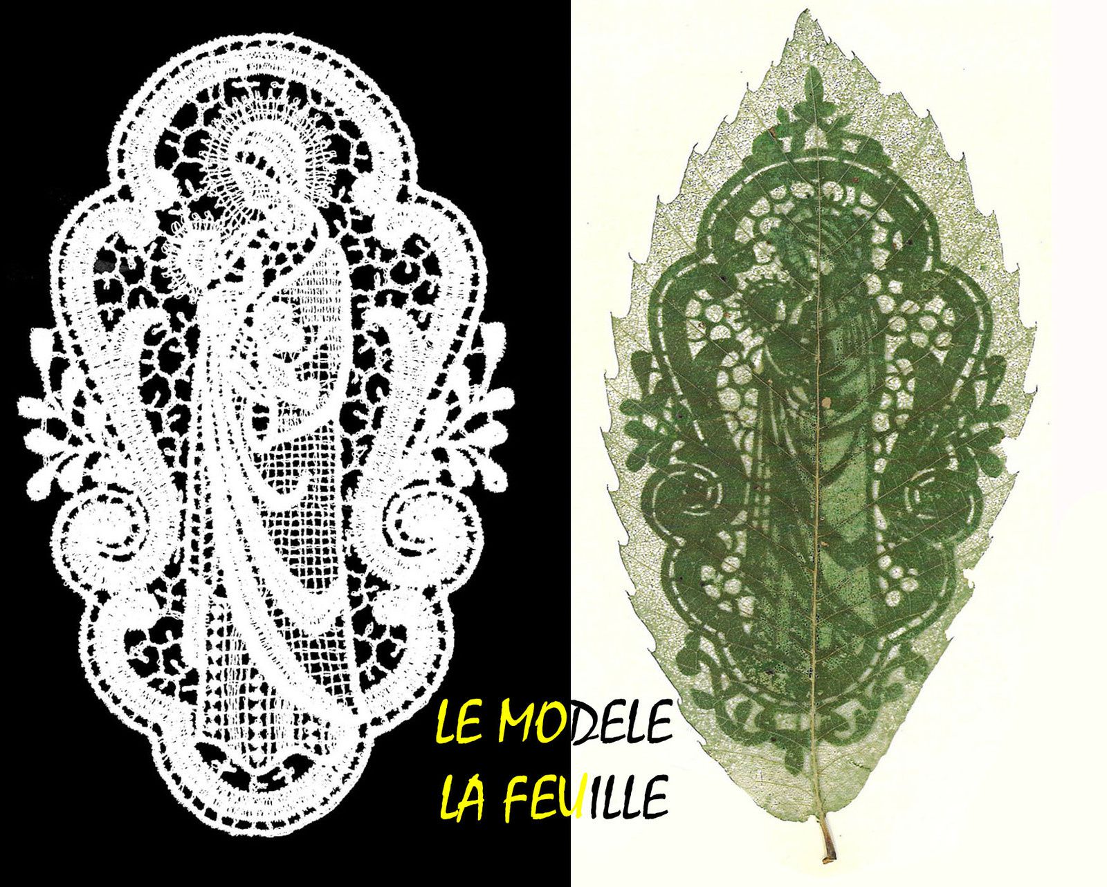 SCULPTURES SUR FEUILLES D'ARBRES - Le blog de Bernard DAUPHIN