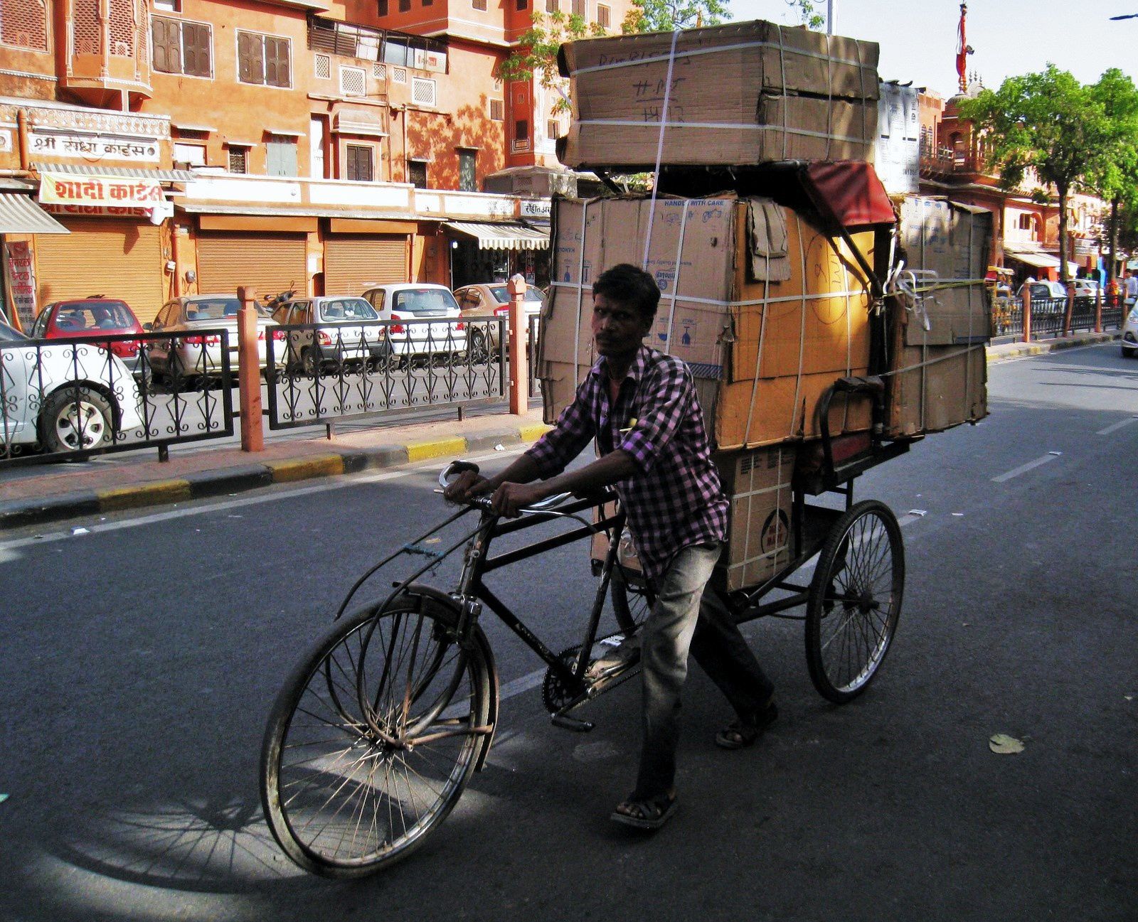 Transports de marchandises à Jaipur, Rajasthan (Inde)