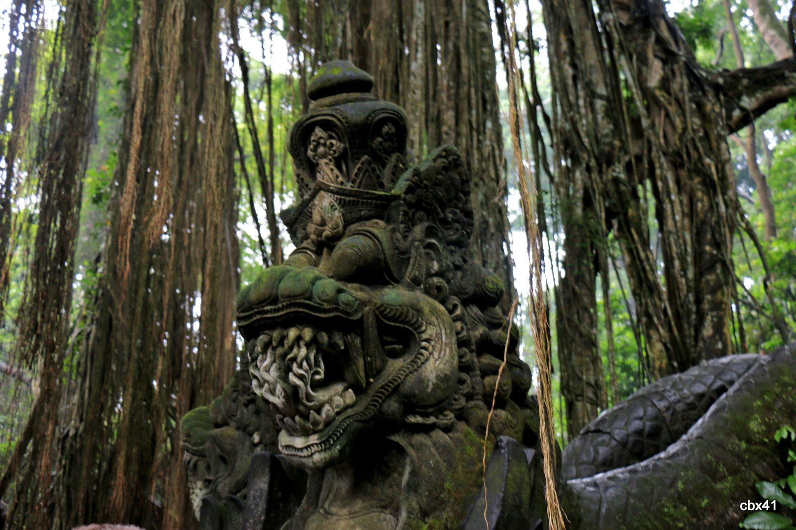 Balade dans la forêt des singes_Monkey Forest,  Ubud (Bali, Indonésie)