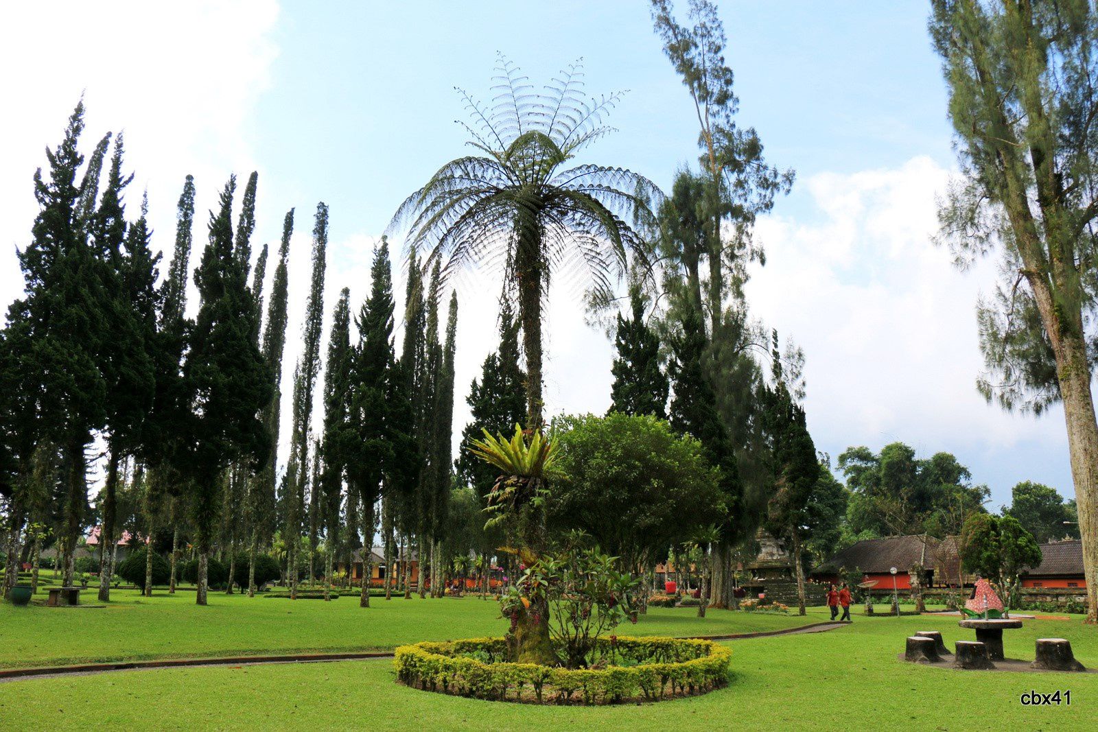 Temple Ulun Danu de Candikuning (Tabanan, Bali), verdure du parc