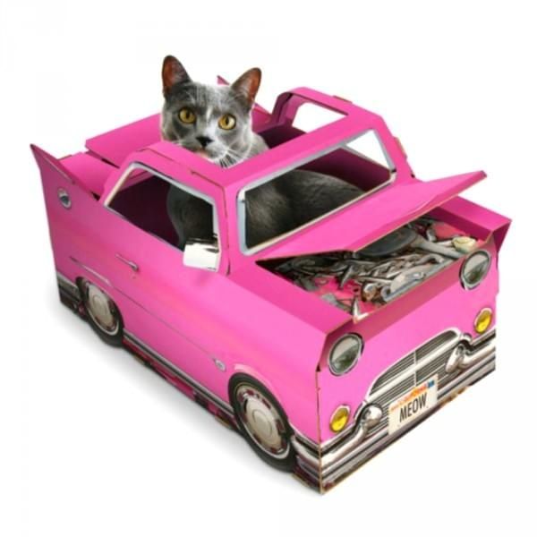 Cadillac carton chat