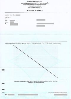 Vote de la proposition de loi visant à instaurer une obligation de casier  judiciaire vierge pour les candidats à une élection - Le blog de Thierry  Vallat, avocat au Barreau de Paris (