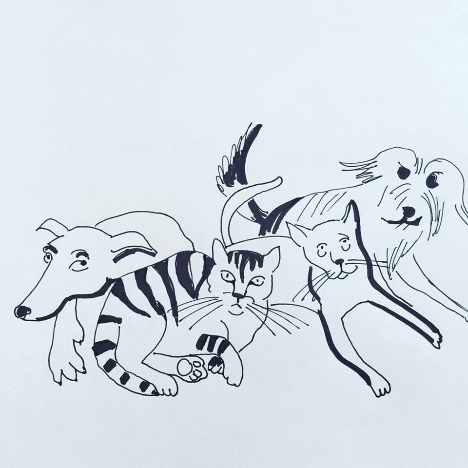 Quelques Rappels Juridiques Avant D Adopter Un Chien Ou Un Chat A Noel Le Blog De Thierry Vallat Avocat Au Barreau De Paris Et Sur Twitter Methierryvallat Quelques Rappels Juridiques Avant D Adopter Un Chien Ou Un Chat A Noel Le Blog De Thierry Vallat Avocat Au Barreau De Paris Et Sur Twitter Methierryvallat